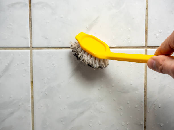 Mold Removal Process in Stanhope, NJ