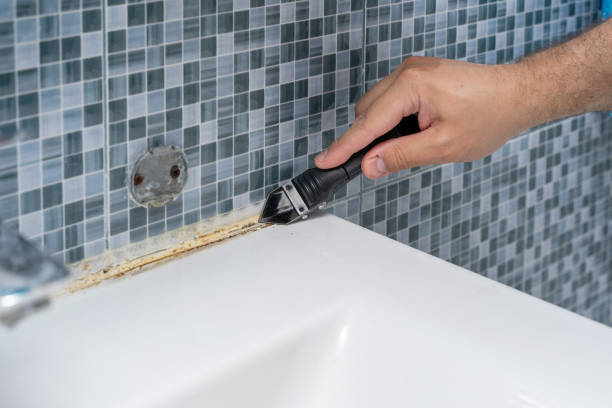 Best Office Mold Removal Services  in Stanhope, NJ