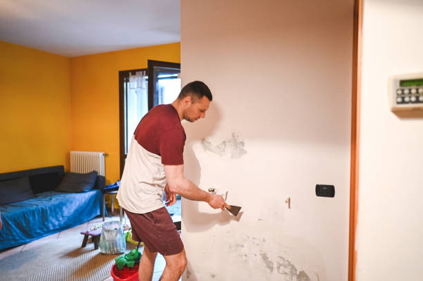 Best Affordable Mold Removal  in Stanhope, NJ